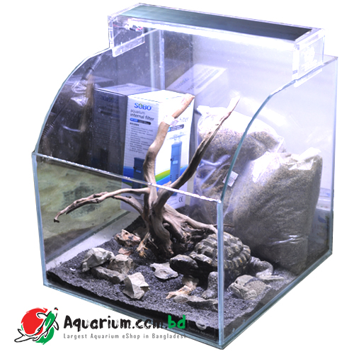 turtle aquarium in Bangladesh