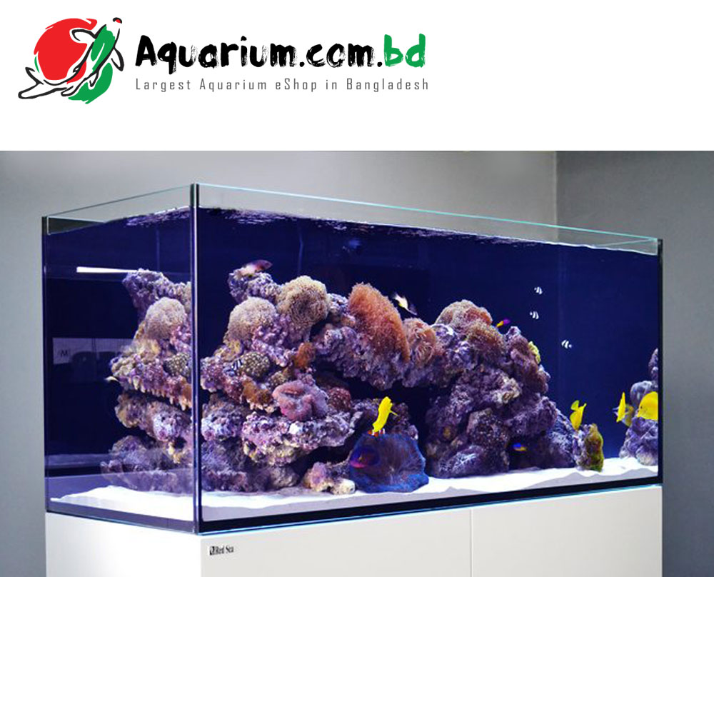 Reefer 350 Deluxe (incl. 2 X Hydra 26HD LED)-White