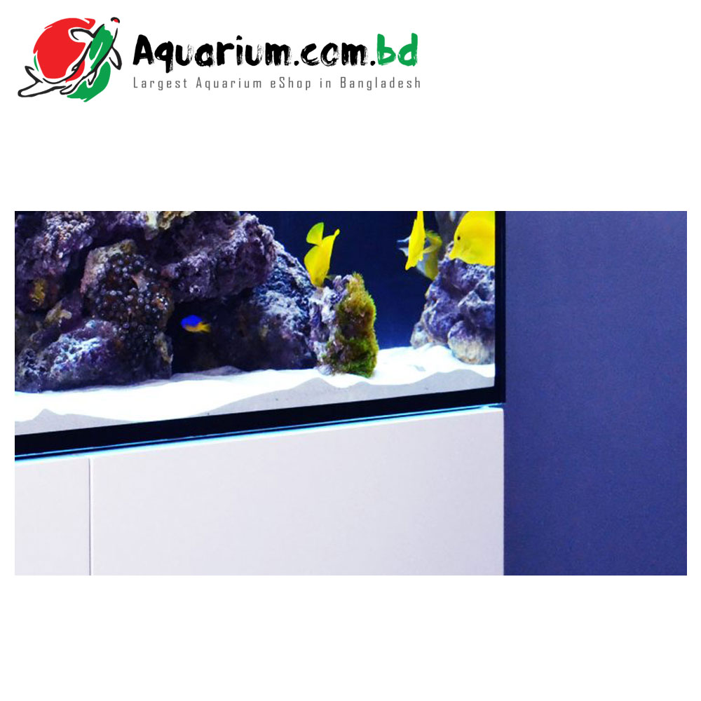 Reefer 350 Deluxe (incl. 2 X Hydra 26HD LED)-White