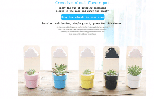 RAINY WALL-HUNG PLANTS POT