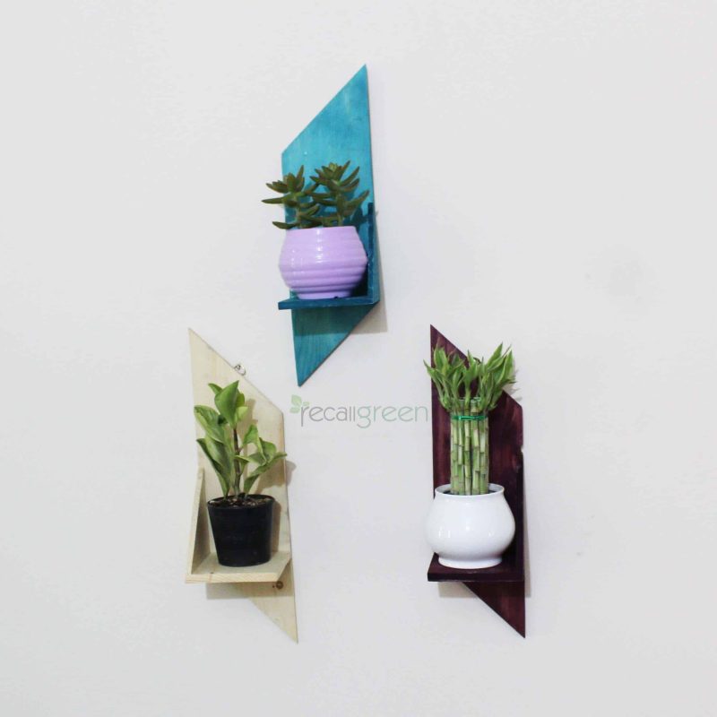 WOOD FRAME CODE WP-13 (3PCS SET)