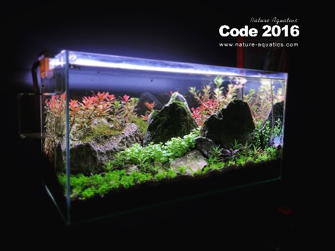 24*12*12 5mm Crystal Glass Tank With Full Setup & Co2