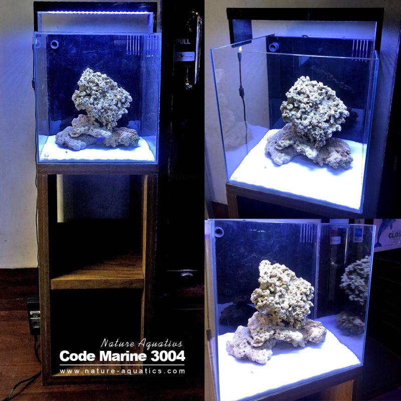 15 Inch Cube Tank with Light , Stand & Marine Setup
