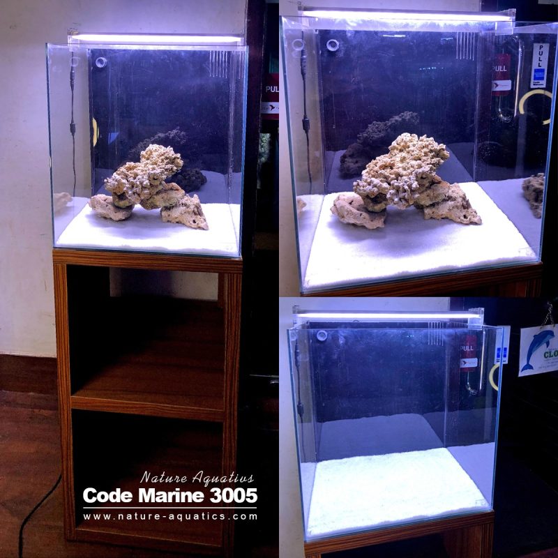 Code Marine 3005