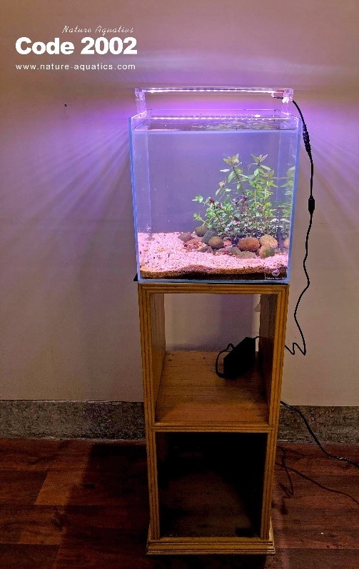 12 inch Cube Tank with Planted  Setup & Light