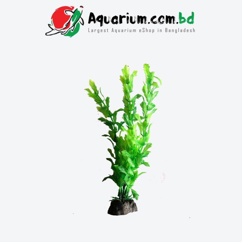 Plastic Plant A6