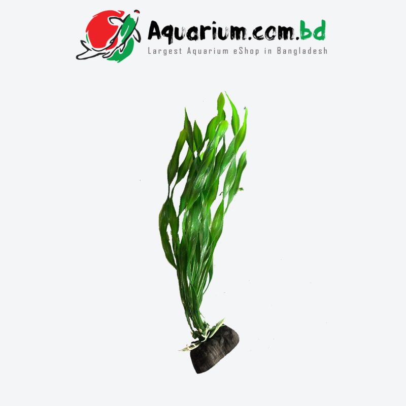 Plastic Plant A2