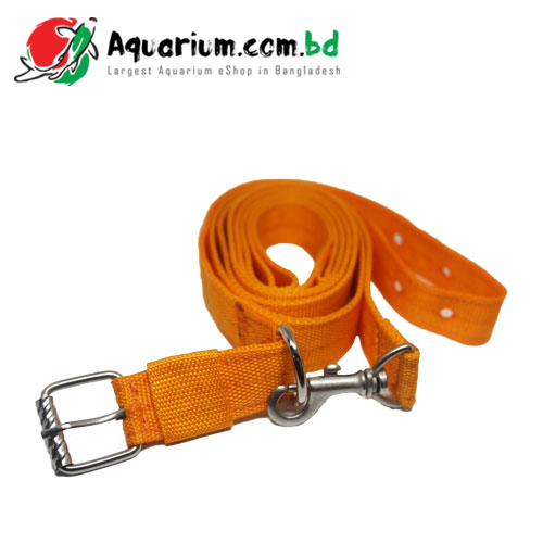 Dog Leash With Collar