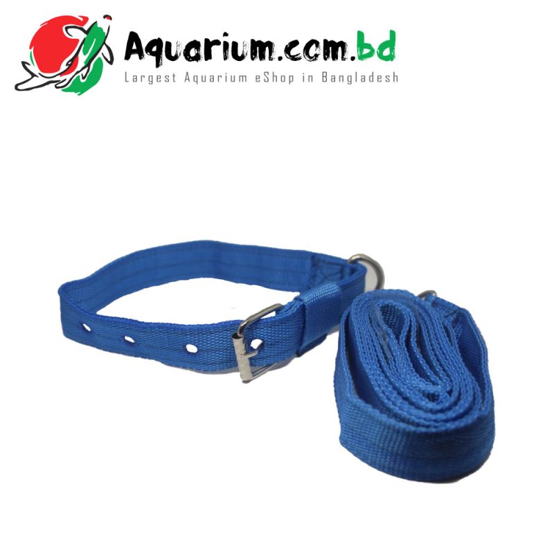 Dog Leash With Collar