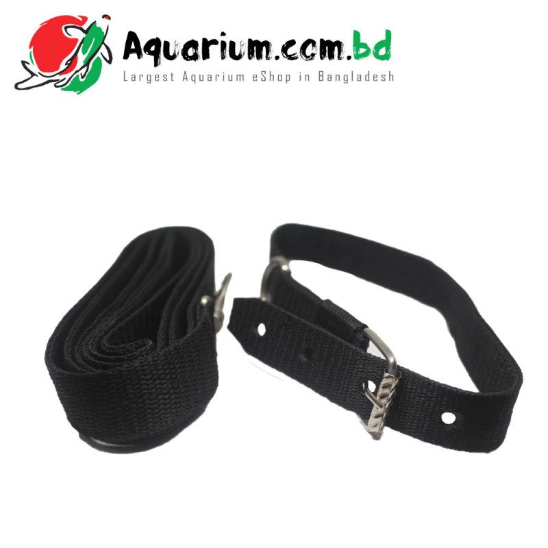 Dog Leash With Collar