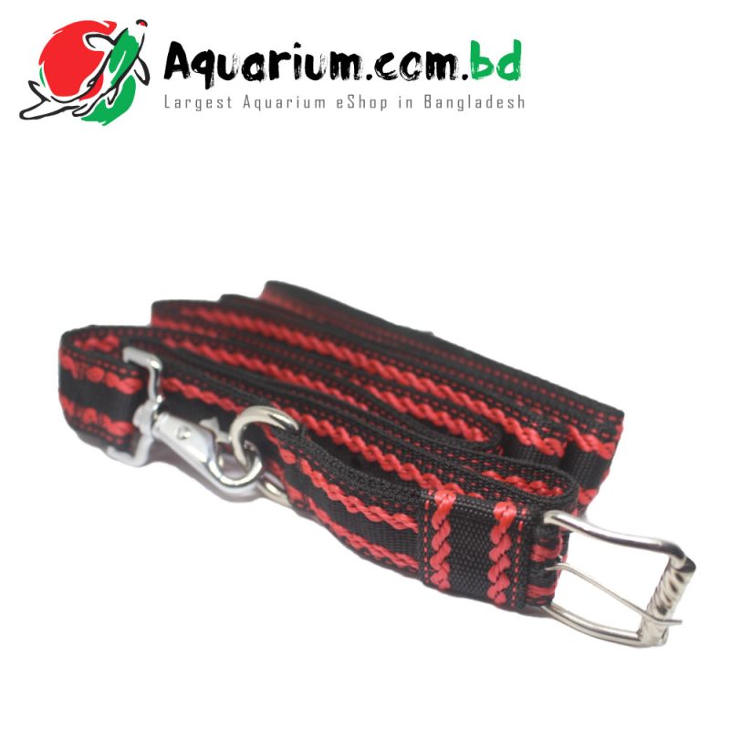 Dog Leash With Collar