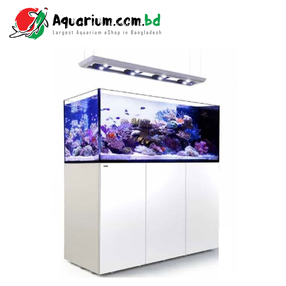 REEFER Peninsula P650 Deluxe (incl. 4 X Hydra 26HD LED) - White