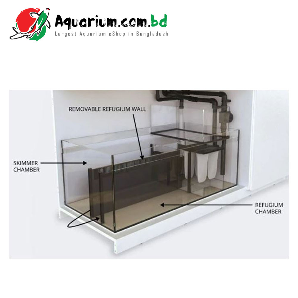 REEFER Peninsula P650 Deluxe (incl. 4 X Hydra 26HD LED) - White