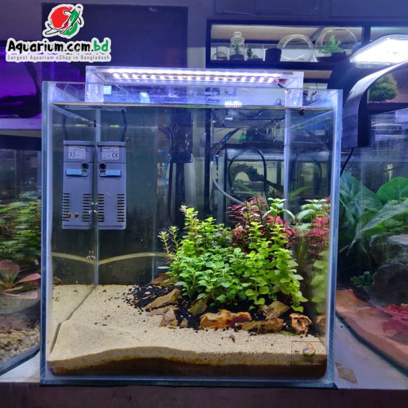 12 Cube Planted Tank w Complete Setup