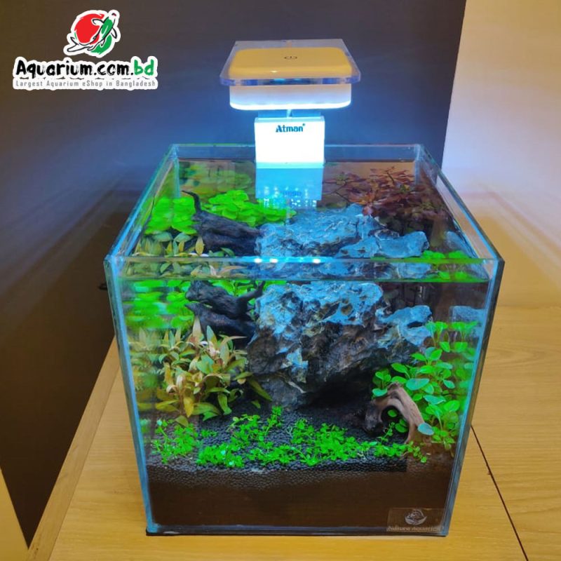 9 Cube Planted Aquarium w Complete Setup