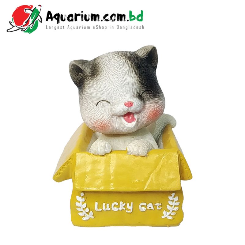 Head Shaking- Lucky Cat2