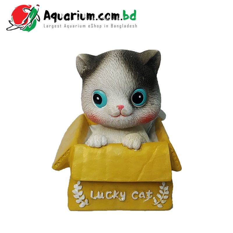 Lucky Cat- Head Shaking Cat