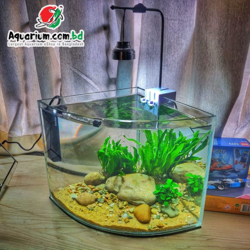 Triangle Shape Aquarium w Complete Setup