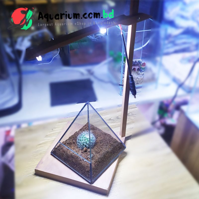 Terrarium Box- 3 Dimension