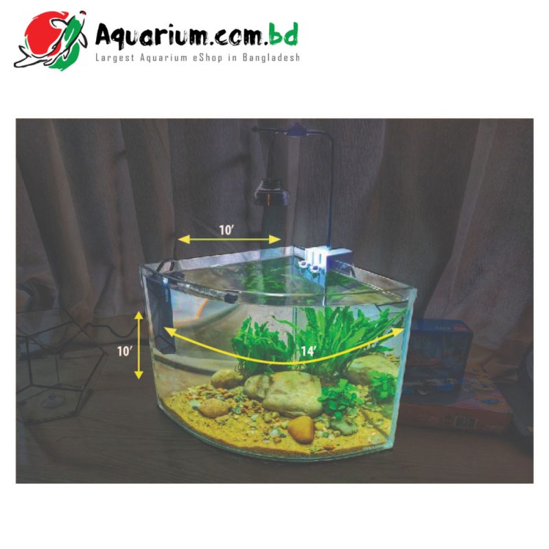 Round Triangle Shape Aquarium