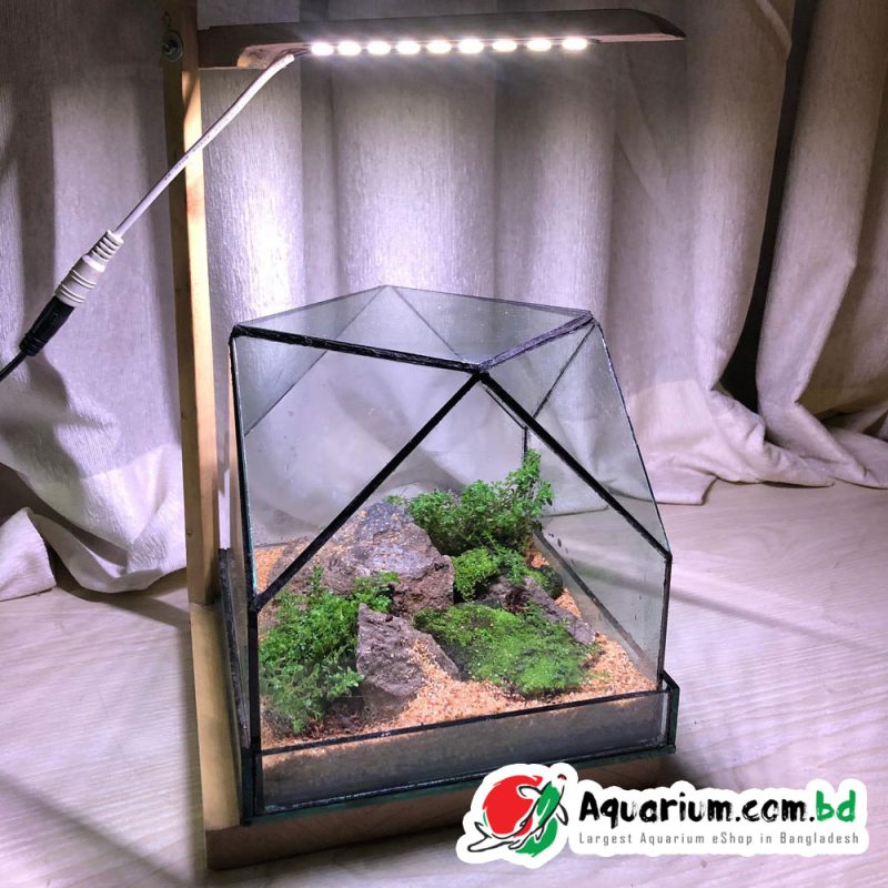 Terrarium-Box-6-inch-Cube-Complete-Setup-with-Light (1)